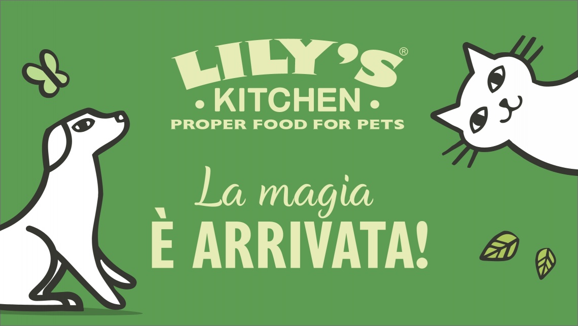 La creatività applicata sugli asset sviluppati per Lily's Kitchen