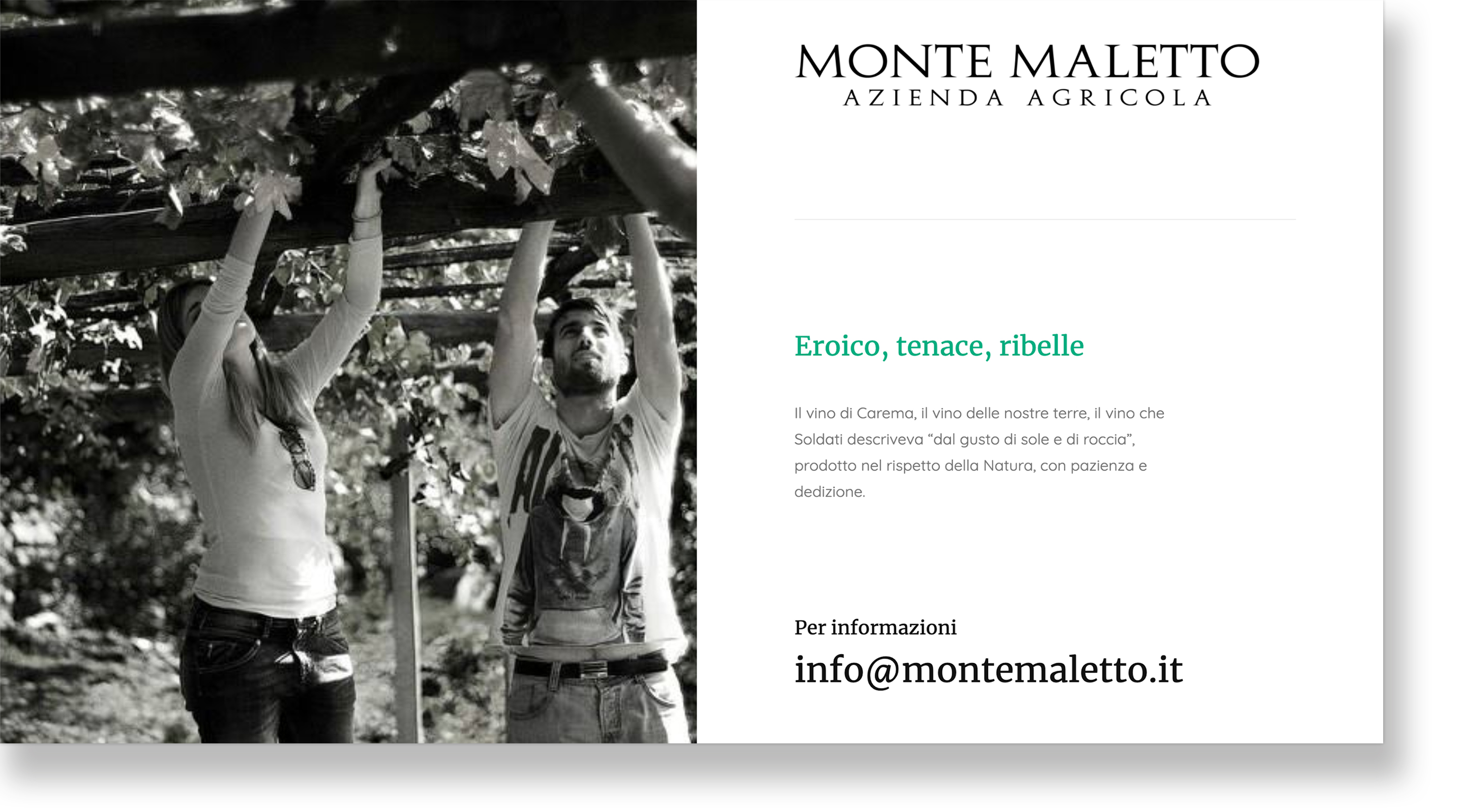 Cantina Monte Maletto, fondata nel 2014.