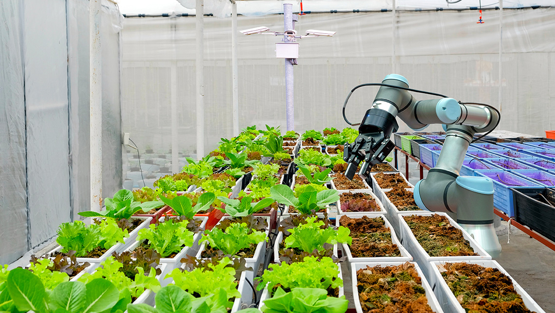 Plantoide, il primo robot al mondo ispirato alla vita e al movimento delle piante