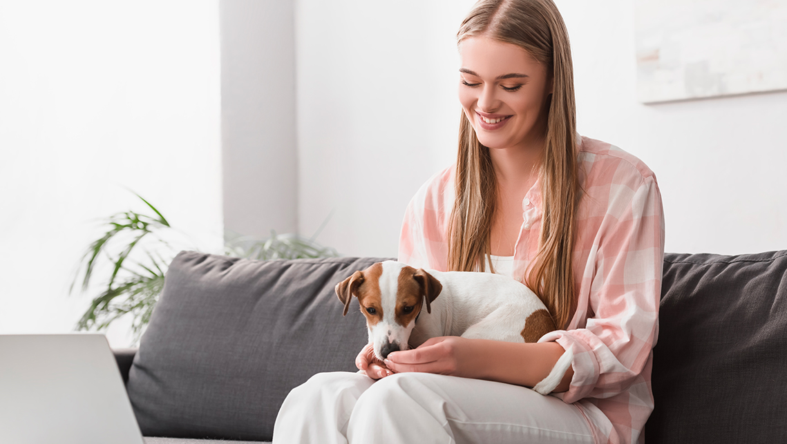 Cresce l'attenzione per gli animali da compagnia