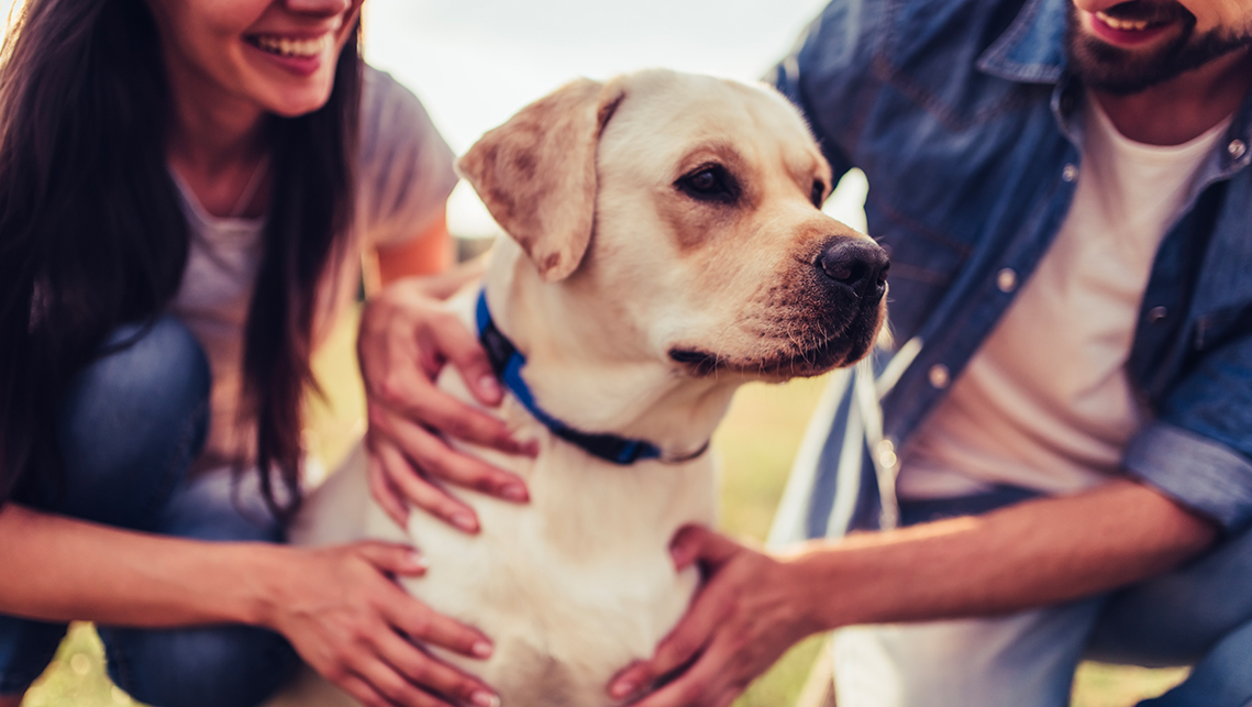 Il valore dei pet nelle famiglie