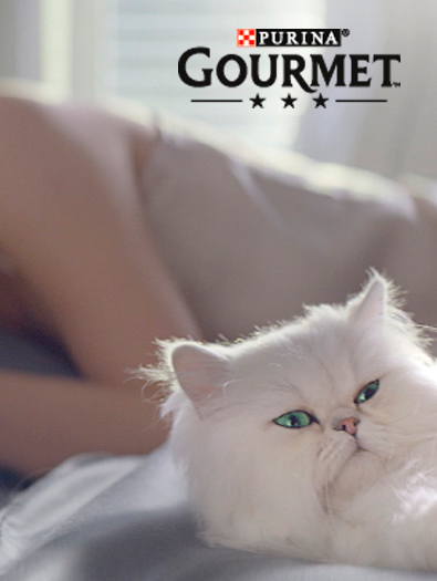 concept branding storytelling below the line Purina Gourmet