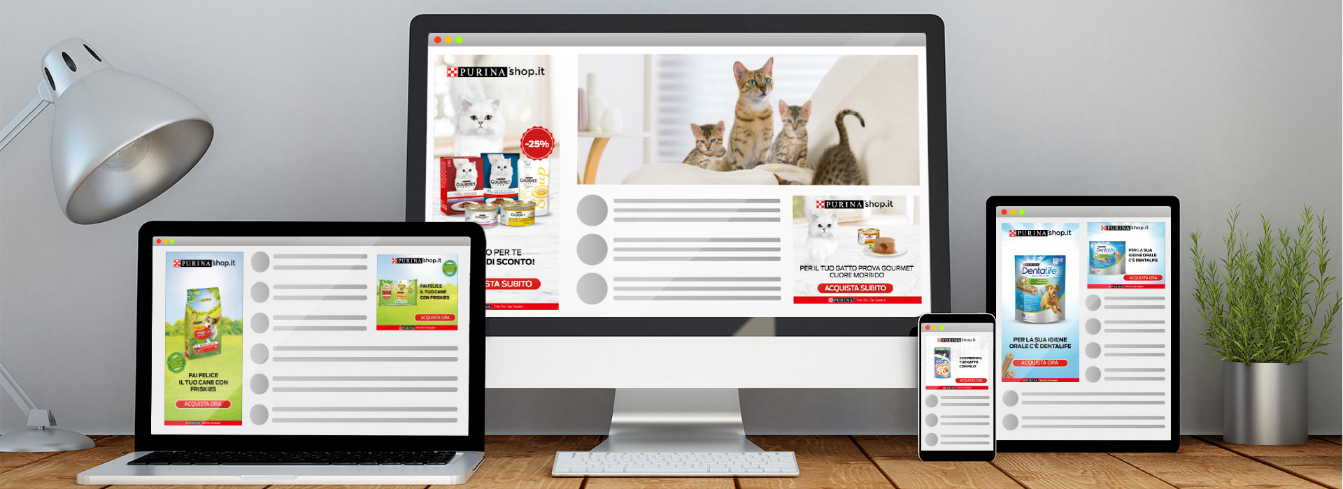 annunci dinamici rete display per ecommerce Purinashop
