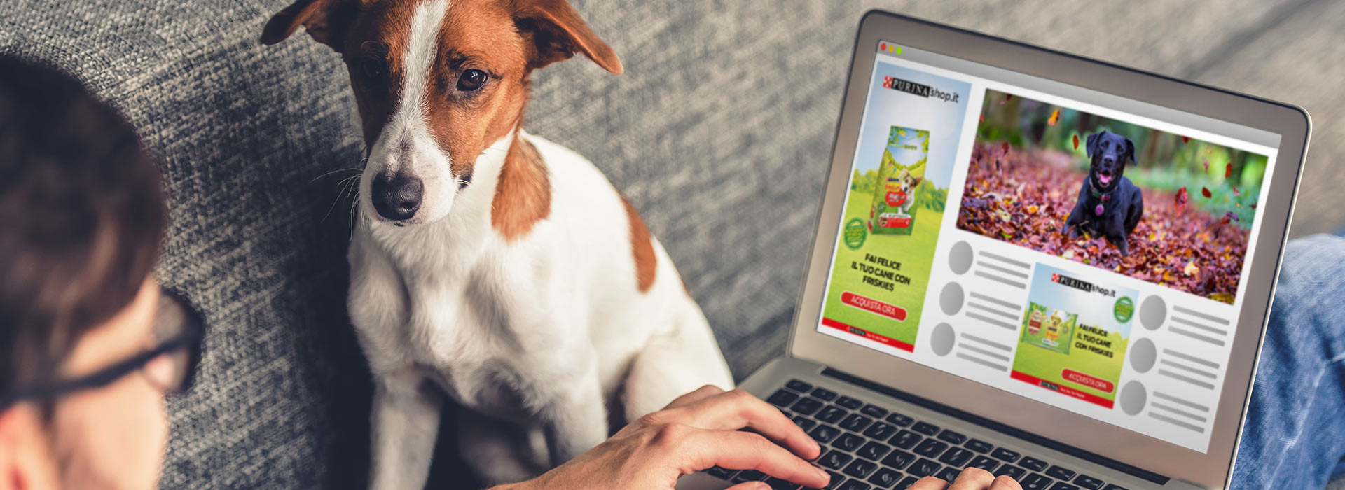 Creatività banner animati Purina