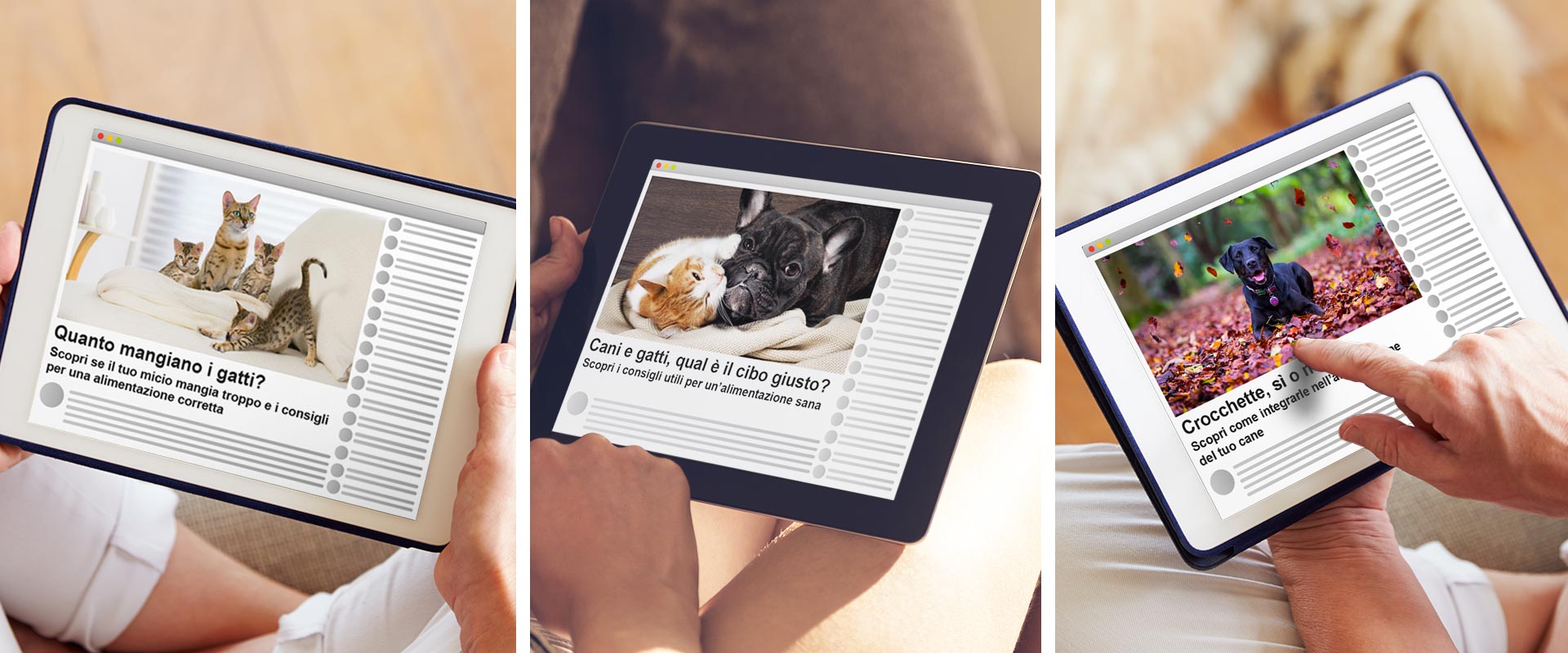purinashop-annunci-promozione-petfood