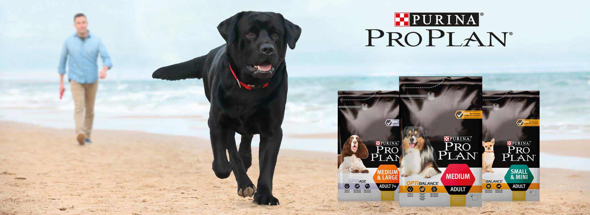 gamma rilancio purina pro plan labrador nero