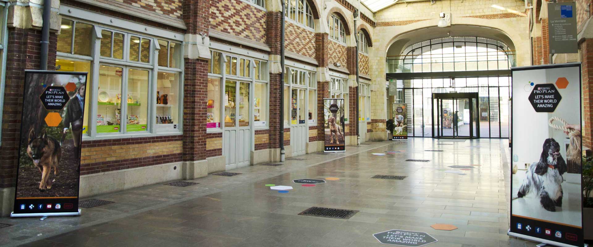 Graphic design below the line evento Purina Pro Plan