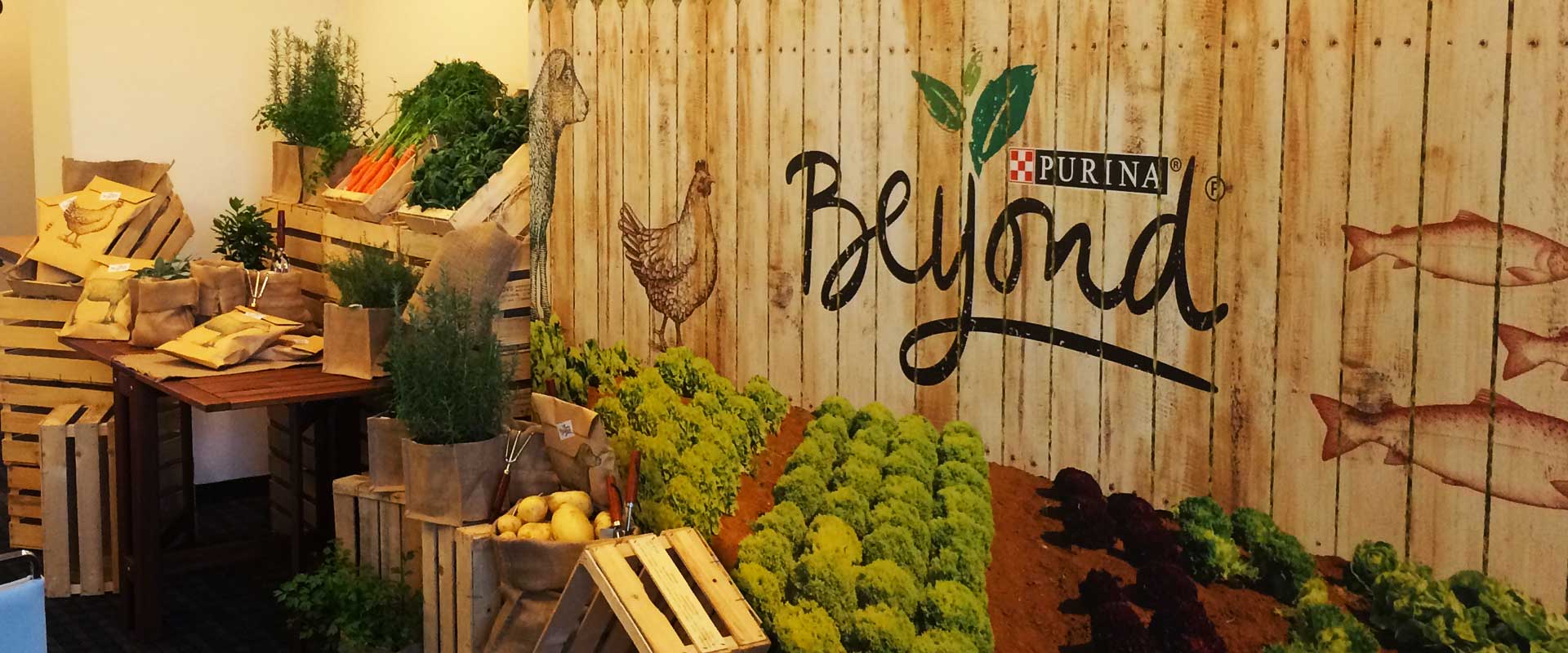Allestimento evento Purina Beyond