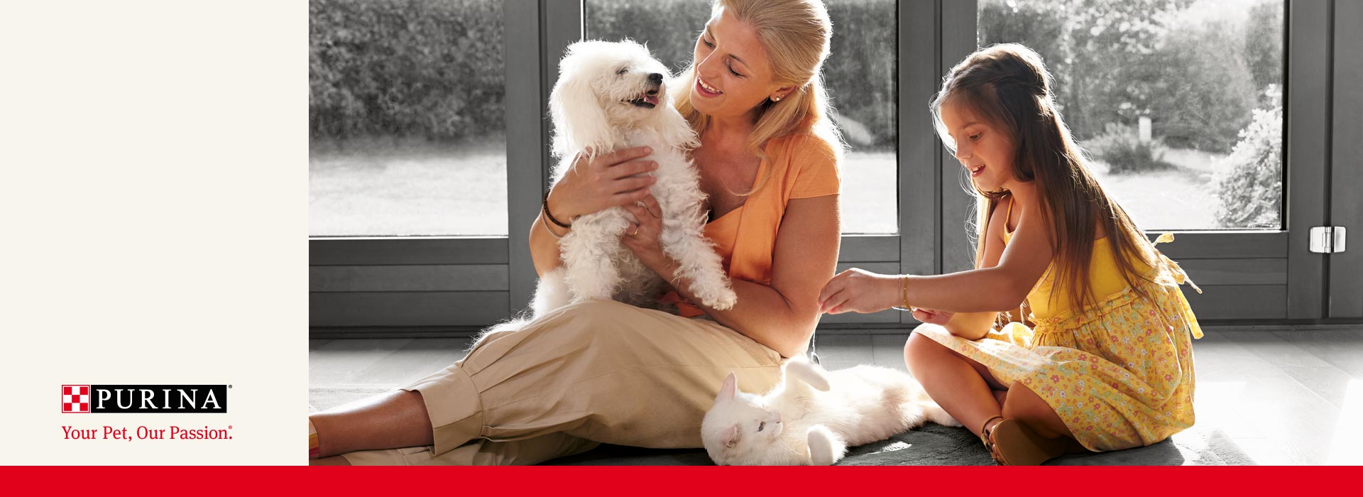 evento purina per l' inaugurazione dei nuovi uffici Vevey