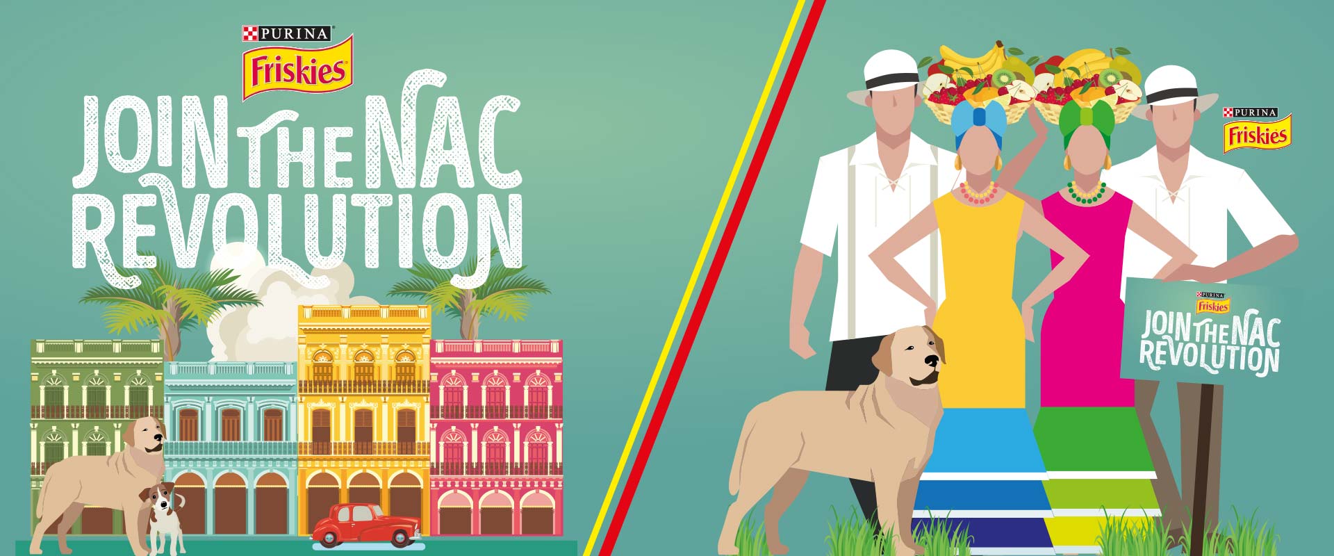 graphic design evento Casa Purina